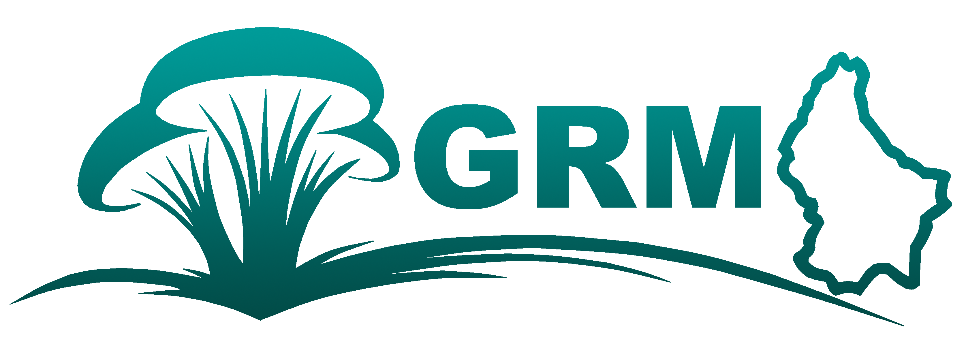 GRM Logo
