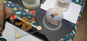 MNHN-GRM-Workshop-15