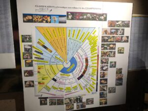 MNHN-GRM-Workshop-21