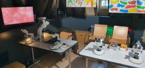 MNHN-GRM-Workshop-30