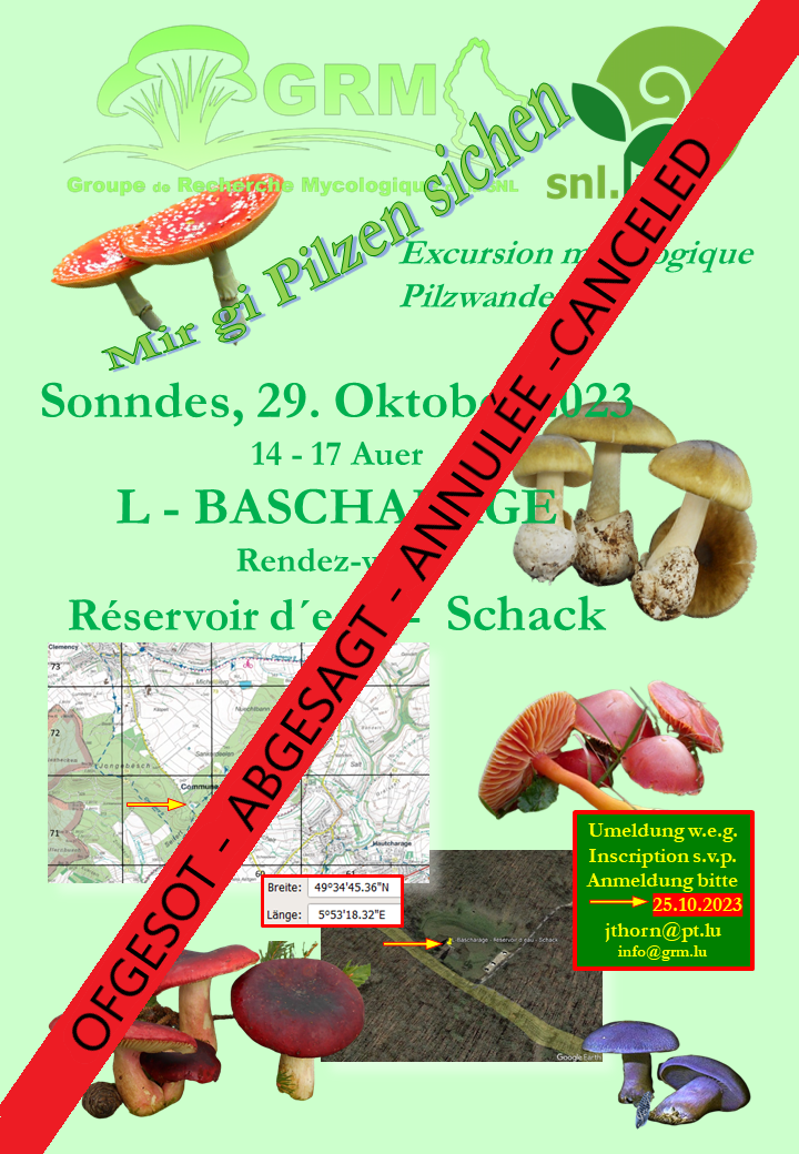 231029 L-Bascharage-Schack SNL - Ofgesot 231029 L-Bascharage-Schack SNL - Ofgesot