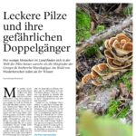 Artikel Luxemburger Wort 1