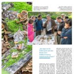 Artikel Luxemburger Wort 2
