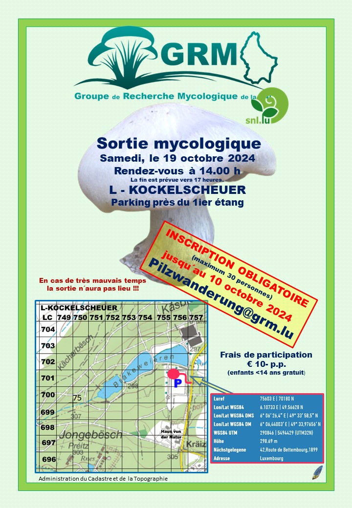19.10.2024 Kockelscheier 19.10.2024 Kockelscheier