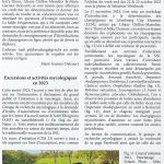 IMG-1